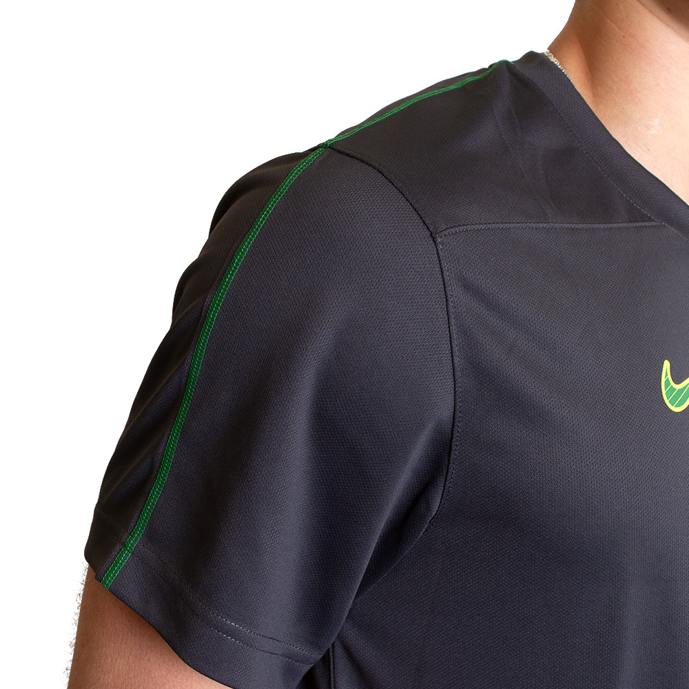 Ducks, Nike, Grey, Crew Neck, Performance/Dri-FIT, Men, Football, UV protection, Coaches, T-Shirt, 793383